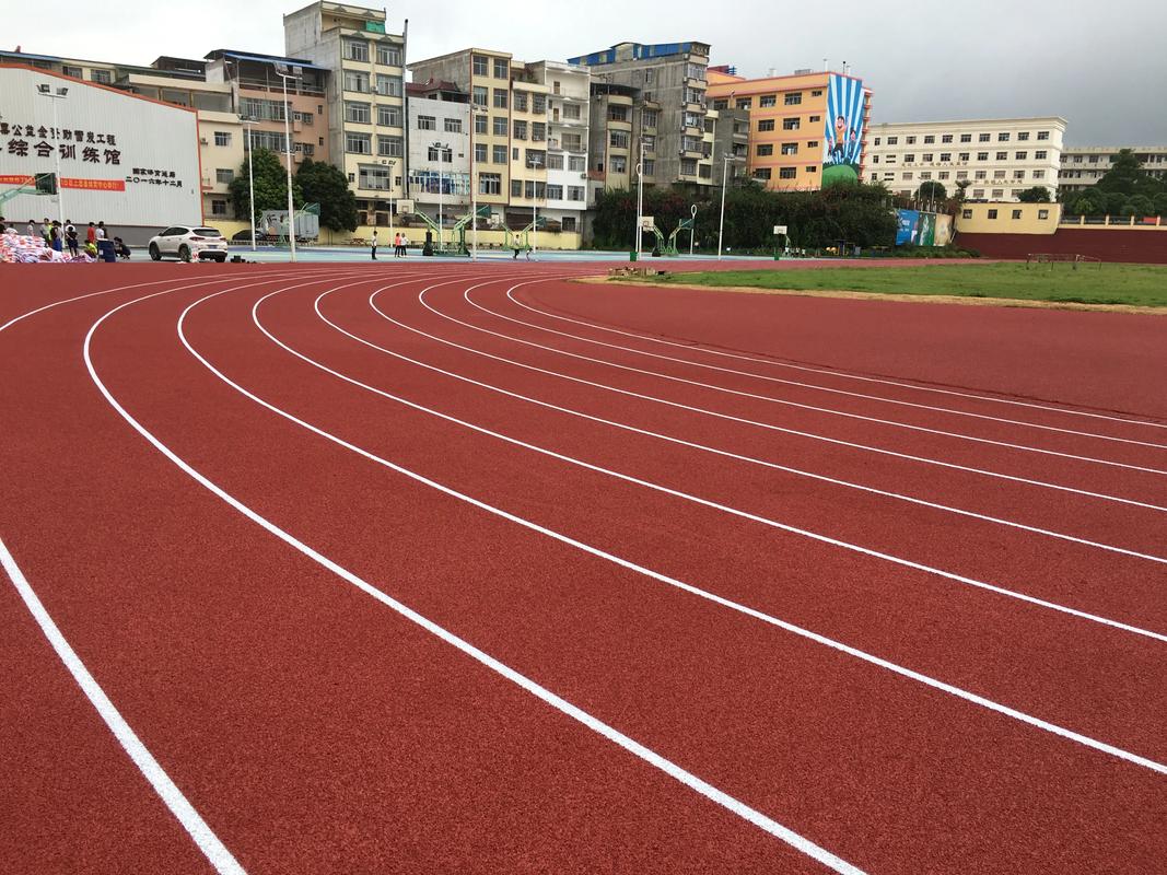 琼中黎族苗族自治县EPDM颗粒塑胶跑道材料 - 方案